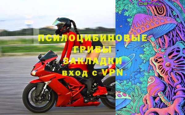 амф Алексин